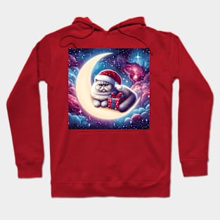 Exotic Shorthair Cat On The Moon Christmas Hoodie